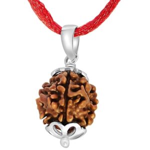 4 Mukhi Rudraksha with Silver Capping